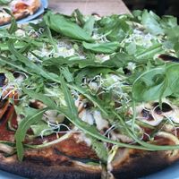 Green Lama  at NOAH in Mainz