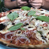 Cheesy Garlic  at NOAH in Mainz