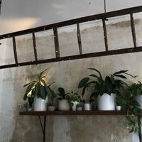 Industrial look interior, very tasteful !  at NOAH in Mainz