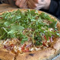 shroom  at NOAH in Mainz