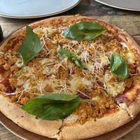 mimikri   at NOAH in Mainz