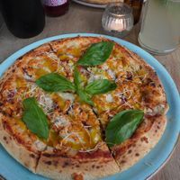 Mimikry at NOAH in Mainz