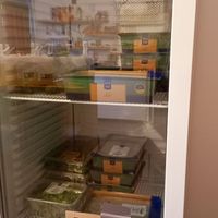 foodsharing - kühlschrank at Frau Lose in Dortmund