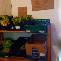 foodsharing - gemüse at Frau Lose in Dortmund