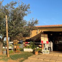 You can order here, and pick up the food at the kitchen on the left.
No service at the table, they give you some kind of beeper so you know when your meal is ready.
Fun experienc at Agriristoro Alla Terra in Castagneto Carducci