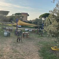 View of the garden  at Agriristoro Alla Terra in Castagneto Carducci