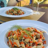  at Agriristoro Alla Terra in Castagneto Carducci