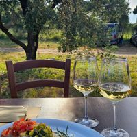  at Agriristoro Alla Terra in Castagneto Carducci