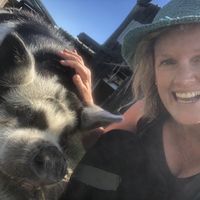   at The Tram @ Shambhala in Okato