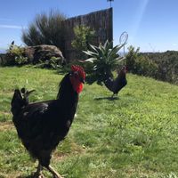   at The Tram @ Shambhala in Okato