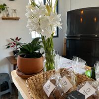 Healthy cookies at Chepenka Catering in Tepoztlan