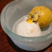 Coconut and jaggery as well as mango and tulsi ice cream at Trishna in London
