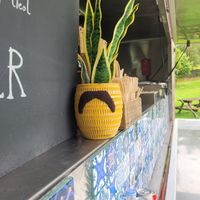 Plant at Amigos Burritos in Llanberis