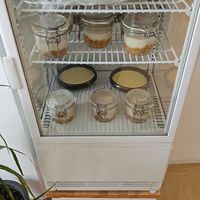 Cheesecakes and desserts at T Veg  in Rhodes