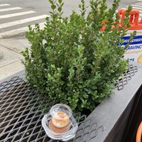 Cupcake in package  at Baked Cravings in New York City