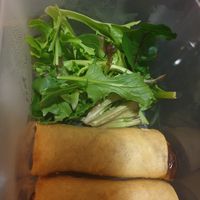 Vegan spring rolls at Thai on Ipswich in Ipswich