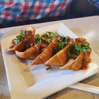 Tofu red curry dumplings at Basil Babe in Ypsilanti