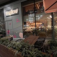 Outside   at Mallow - Canary Wharf in East London