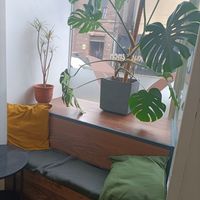 Seating area at TheDorkyFrench Vegan Bakery in Glasgow