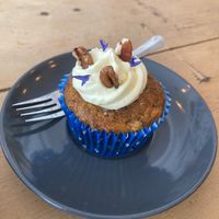  at hand:plant in Ilfracombe