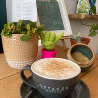  at hand:plant in Ilfracombe