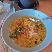  at hand:plant in Ilfracombe