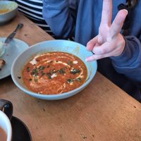  at hand:plant in Ilfracombe