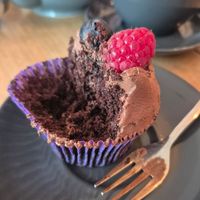  at hand:plant in Ilfracombe