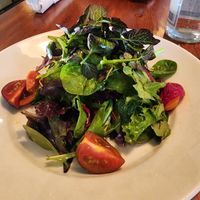 Verde green salad at Terroni in Toronto