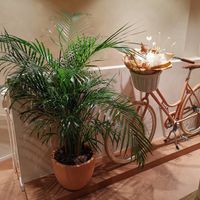  at Hulala in Dusseldorf