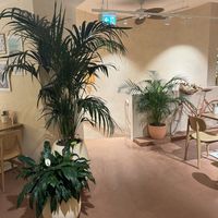   at Hulala in Dusseldorf