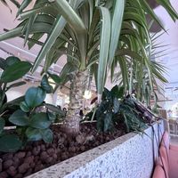   at Hulala in Dusseldorf