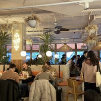    👍   at Hulala in Dusseldorf