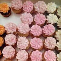 mini cupcakes at Mister Nice Guy's Bakeshop in Ascot Vale