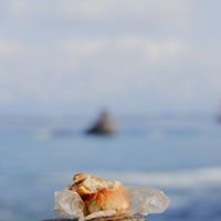 Eating with a  view at Tomachisandwich in Toyama