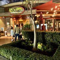 Restaurant Front   at Lazy Dog Restaurant & Bar in Torrance