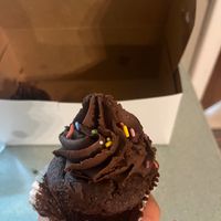 Vegan chocolate cupcake  at Sweet Theory Baking Co. in Jacksonville