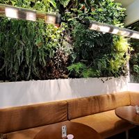  at Wild & The Moon in Doha