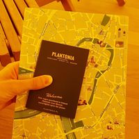  at Plantonia Aparthotel in Krakow