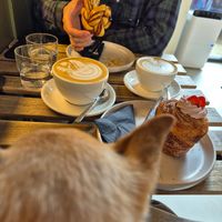  at Crave Coffee & Bakery in Rotterdam