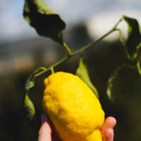  at Mangu Mangas in Vilnius