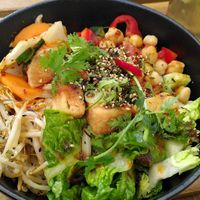  at Ochaya in Magdeburg