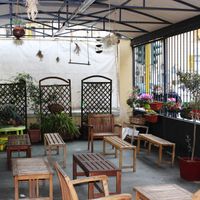 dehors at La Cucina di Giuditta in Genoa