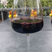 Merlot 🍷 at Kailash Parbat in Amsterdam