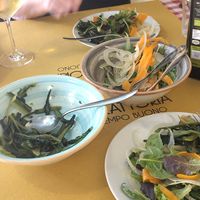 Perfect sides at Trattoria del Tempo Buono in Bologna