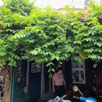 Outside at Quán Chay Nhà in Ho Chi Minh City