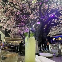   at Cloak & Petal in San Diego