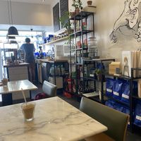 Counter   at Fauna Cafe in Edinburgh