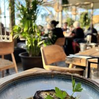 Eggplant   at Ubuntu in Zandvoort