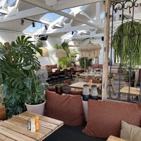   at Ubuntu in Zandvoort